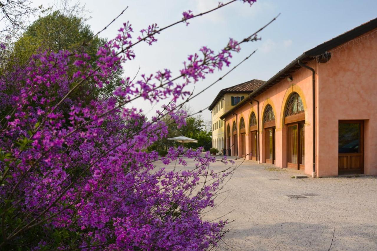 Agriturismo Rechsteiner Guest House Ponte di Piave Exterior photo